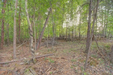 Welcome to your *Dahlonega Delight*! - a beautifully maintained - photo 42
