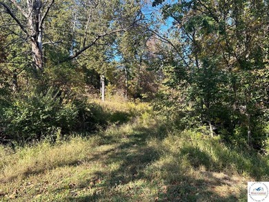 Fully timbered 40 acre tract in Benton County. Situated in the - photo 2