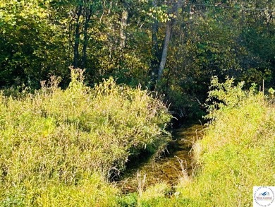 Fully timbered 40 acre tract in Benton County. Situated in the - photo 3