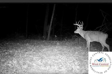 Fully timbered 40 acre tract in Benton County. Situated in the - photo 4