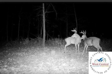 Fully timbered 40 acre tract in Benton County. Situated in the - photo 5