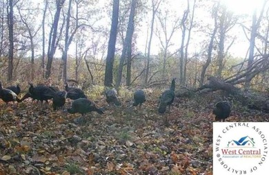 Fully timbered 40 acre tract in Benton County. Situated in the - photo 6