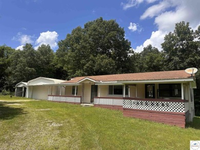 Lake Home For Sale in Warsaw, Missouri