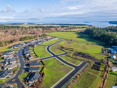 Welcome to Willow Creek Manor, a premier homesite in the heart - photo 1