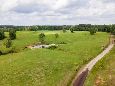 Lake Acreage For Sale in Shelbyville, Texas