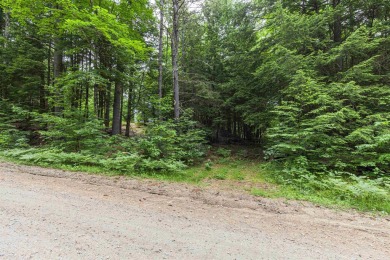 Lake Acreage For Sale in Andover, New Hampshire