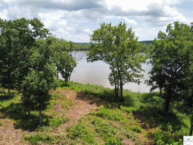 Terrific waterfront building lot on Lake of the Ozarks. Nice - photo 3