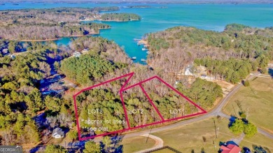 Lake Acreage For Sale in Hartwell, Georgia