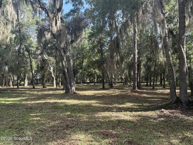 Build your dream home beneath a canopy of majestic live oaks in - photo 1
