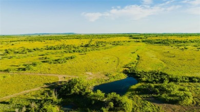 Lake Acreage For Sale in Oplin, Texas