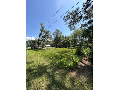High & Dry X Flood Parcel, Cleared CORNER LOT READY TO BUILD - photo 3