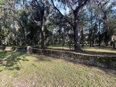 Build your dream home beneath a canopy of majestic live oaks in - photo 4