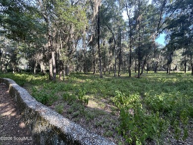 Build your dream home beneath a canopy of majestic live oaks in - photo 5