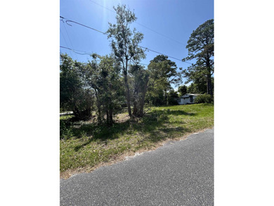 High & Dry X Flood Parcel, Cleared CORNER LOT READY TO BUILD - photo 6