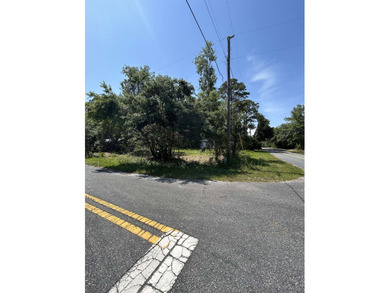 High & Dry X Flood Parcel, Cleared CORNER LOT READY TO BUILD - photo 7