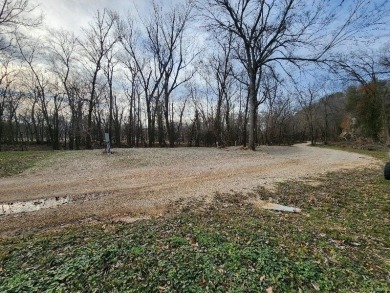 Lake Lot For Sale in Van Buren, Missouri