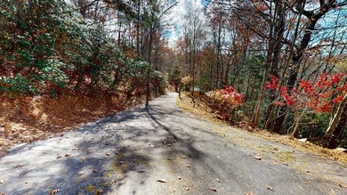 'BEST KEPT SECRET IN Western North Carolina is here. This home - photo 36