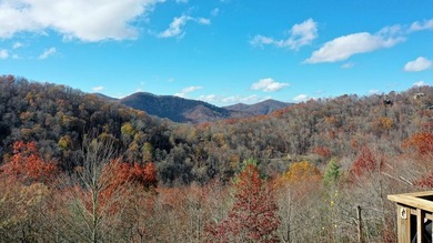 'BEST KEPT SECRET IN Western North Carolina is here. This home - photo 39