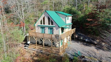 'BEST KEPT SECRET IN Western North Carolina is here. This home - photo 40