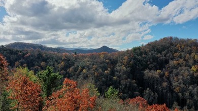 'BEST KEPT SECRET IN Western North Carolina is here. This home - photo 41