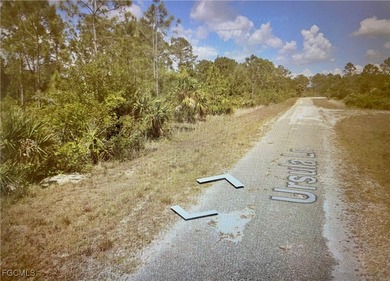 Lehigh Acres Area Lot For Sale in Lehigh Acres Florida