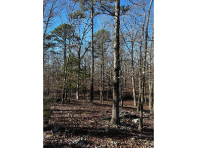 Lake Acreage For Sale in Alexander, Arkansas