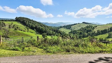(private lake, pond, creek) Acreage For Sale in Swords Creek Virginia