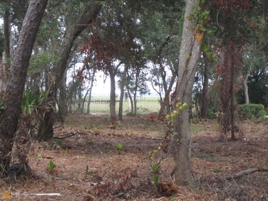 Here is your chance to build your dream home on a large - photo 18