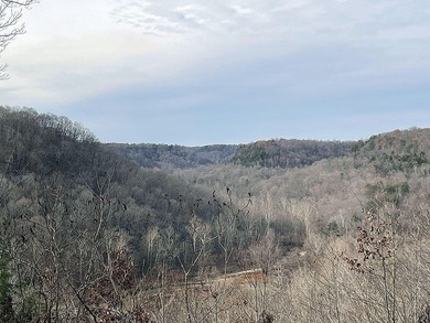 Lake Cumberland Lot For Sale in Russell Springs Kentucky