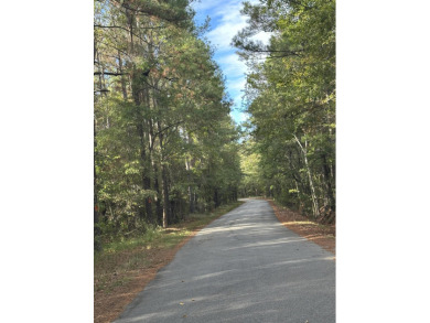 Lake Marion Lot For Sale in Summerton South Carolina