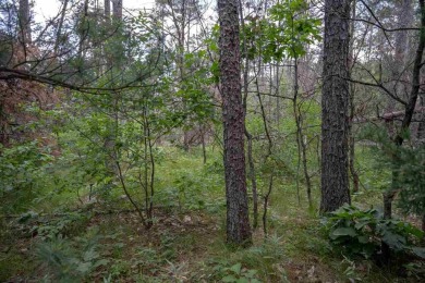 Lake Lot For Sale in New Lisbon, Wisconsin