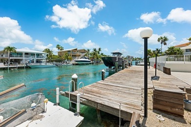 Some homes simply arrive finished -- and this Duck Key - photo 23