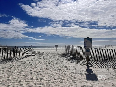 STEPS TO BEACH W/ DIRECT GULF VIEWS. Watch the sunset every - photo 36