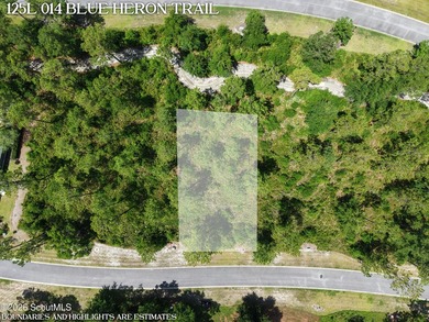 Discover the perfect setting for your custom coastal home on Lot - photo 1