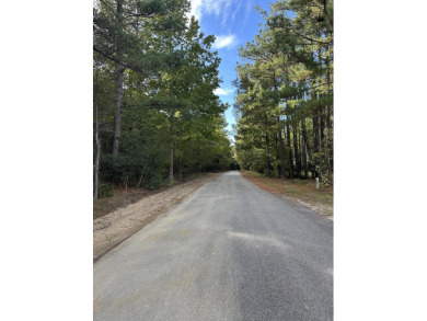 Lake Marion Lot For Sale in Summerton South Carolina
