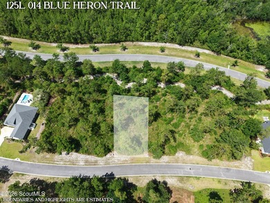 Discover the perfect setting for your custom coastal home on Lot - photo 2