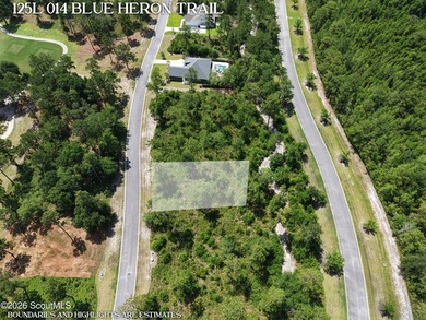 Discover the perfect setting for your custom coastal home on Lot - photo 3