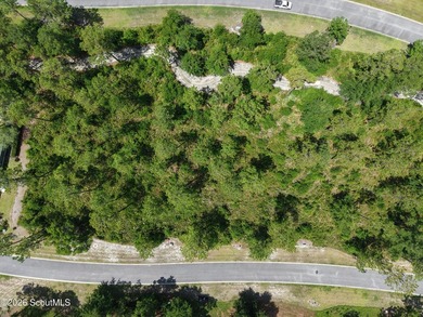 Discover the perfect setting for your custom coastal home on Lot - photo 6