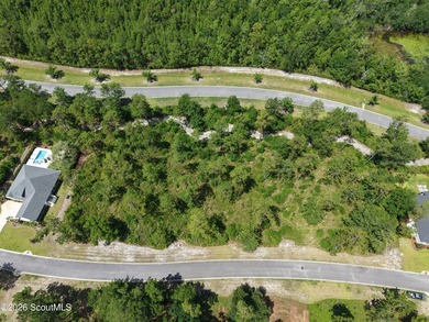 Discover the perfect setting for your custom coastal home on Lot - photo 7