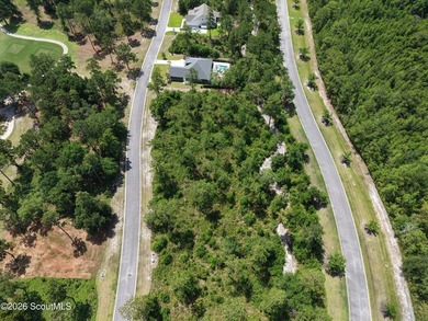 Discover the perfect setting for your custom coastal home on Lot - photo 8