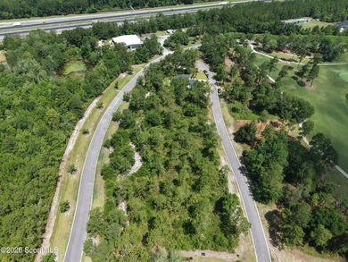 Discover the perfect setting for your custom coastal home on Lot - photo 10