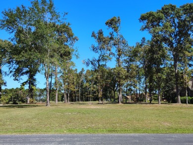 Lake Lot For Sale in Manning, South Carolina