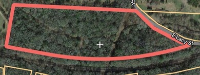 (private lake, pond, creek) Acreage For Sale in Palestine Texas