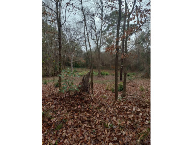 (private lake, pond, creek) Lot For Sale in Jacksonville Texas