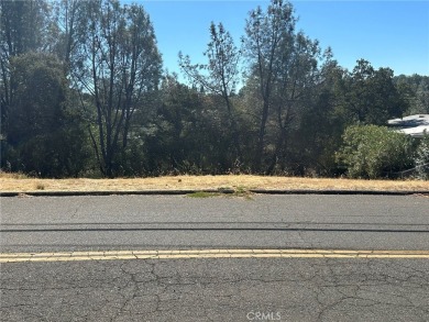 Lake Lot For Sale in Oroville, California