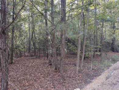Lake Marion Lot For Sale in Summerton South Carolina