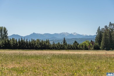 Discover the perfect canvas for your dream home in the heart of - photo 1