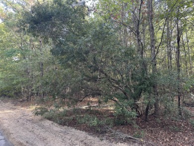 Lake Marion Lot For Sale in Summerton South Carolina