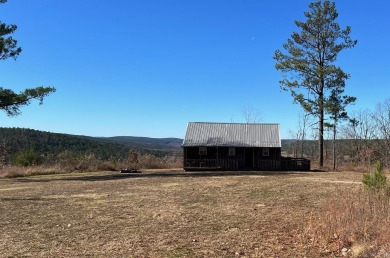 (private lake, pond, creek) Home For Sale in Waldron Arkansas