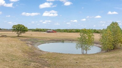 (private lake, pond, creek) Home For Sale in Roxton Texas
